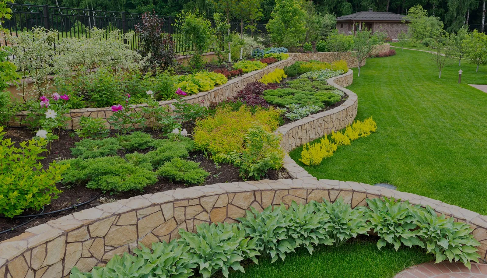 Curved stone retaining walls planted with shrubs beside a green lawn